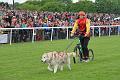 2015-05-17 16-41-19 (2)